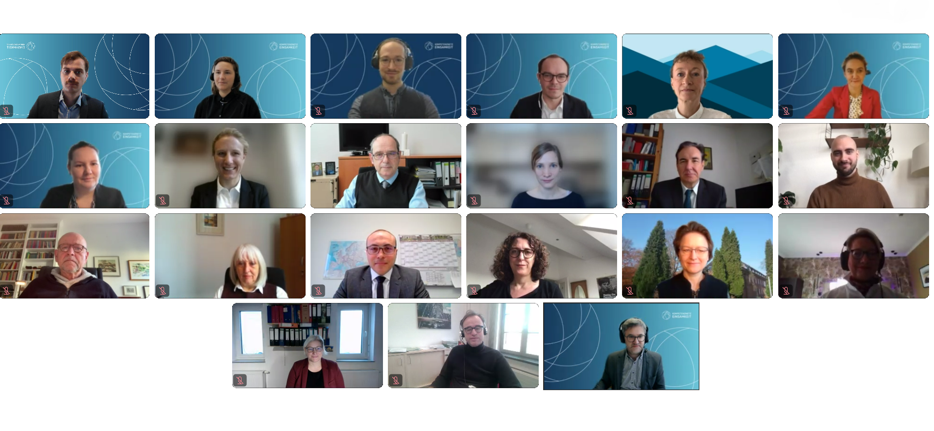 Screenshot der ersten Sitzung des Projektbeirates des KNE