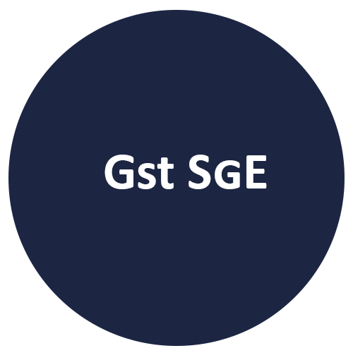 Grafikbutton Dunkelblau mit weißer Schrift (Gst SgE)