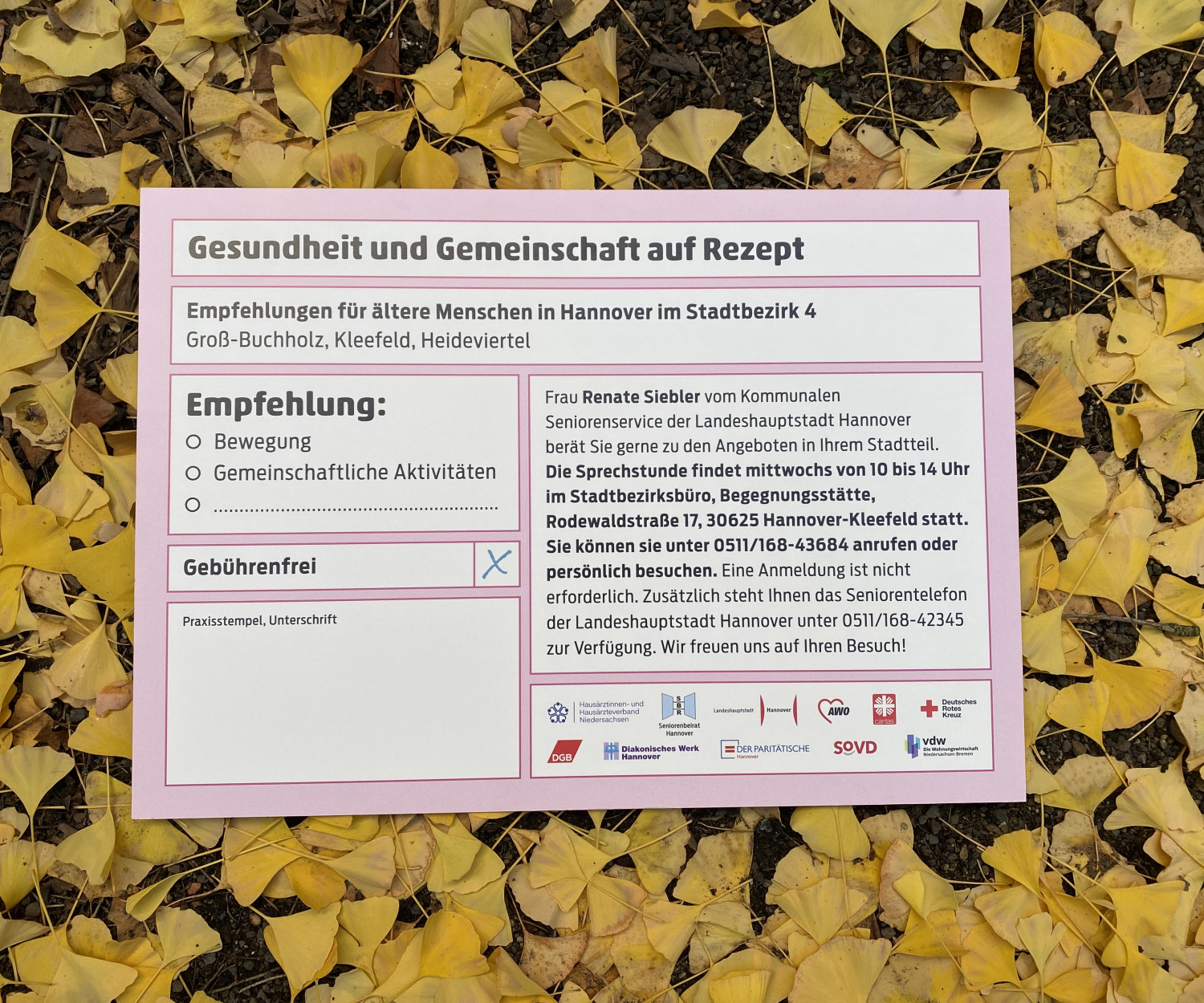 Informationsblatt mit dem Titel „Gesundheit und Gemeinschaft auf Rezept“ liegt auf gelben Herbstblättern. Es enthält Empfehlungen für ältere Menschen, Kontaktinfos und den Hinweis „gebührenfrei“.