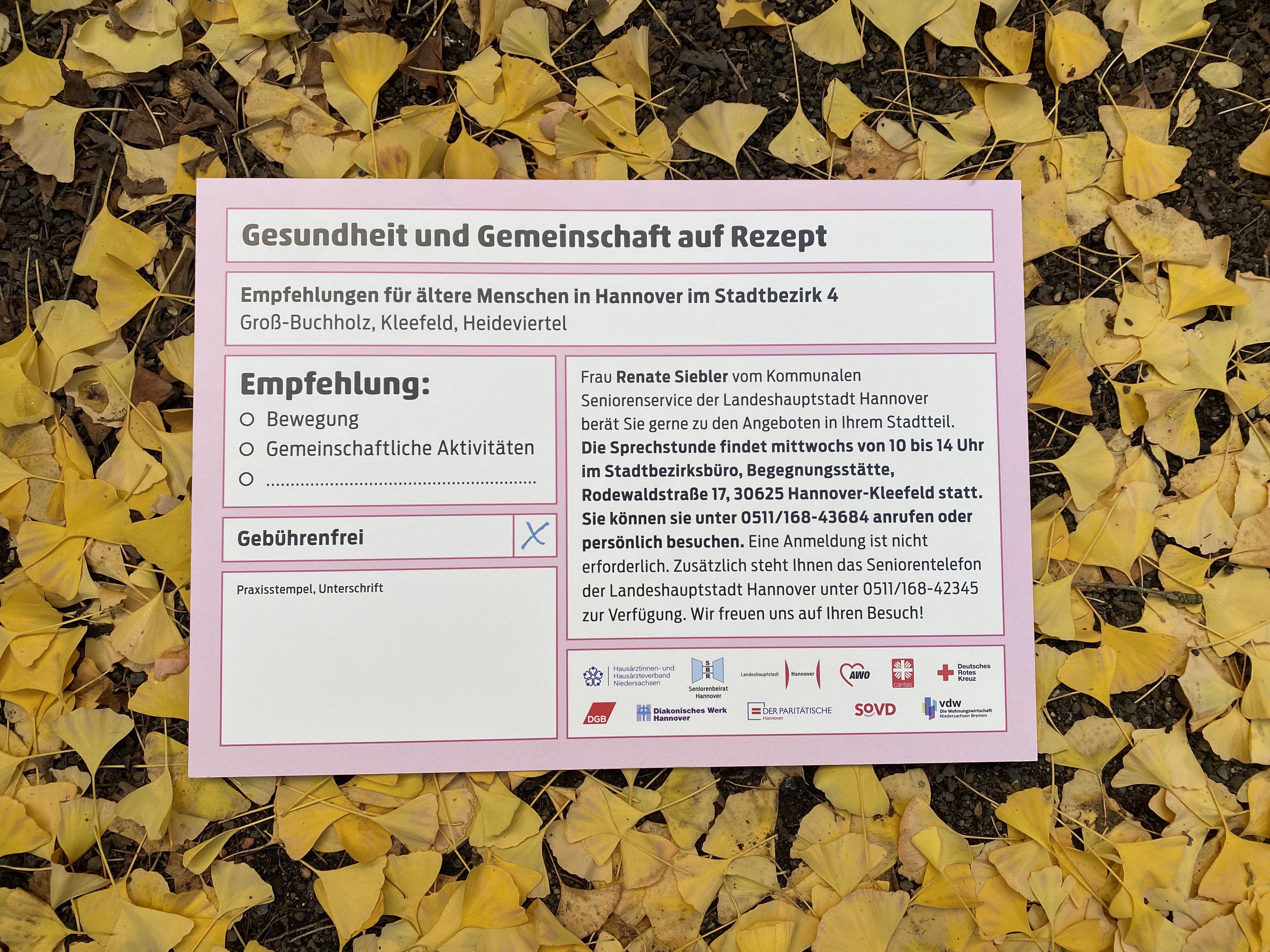 Informationsblatt mit dem Titel „Gesundheit und Gemeinschaft auf Rezept“ liegt auf gelben Herbstblättern. Es enthält Empfehlungen für ältere Menschen, Kontaktinfos und den Hinweis „gebührenfrei“.
